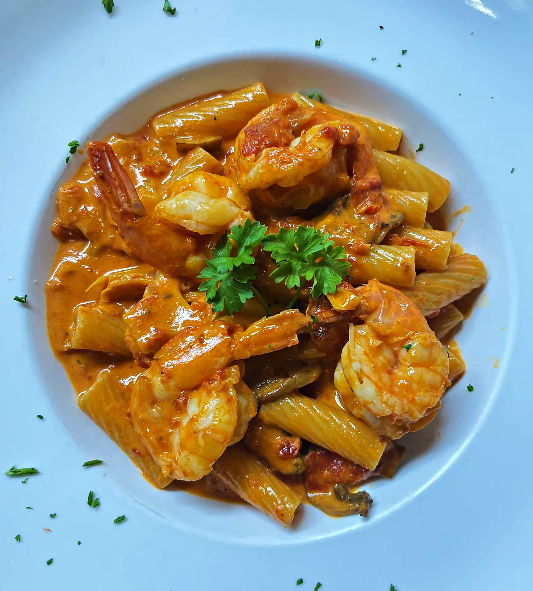 Rigatoni with shrimp in vodka sauce