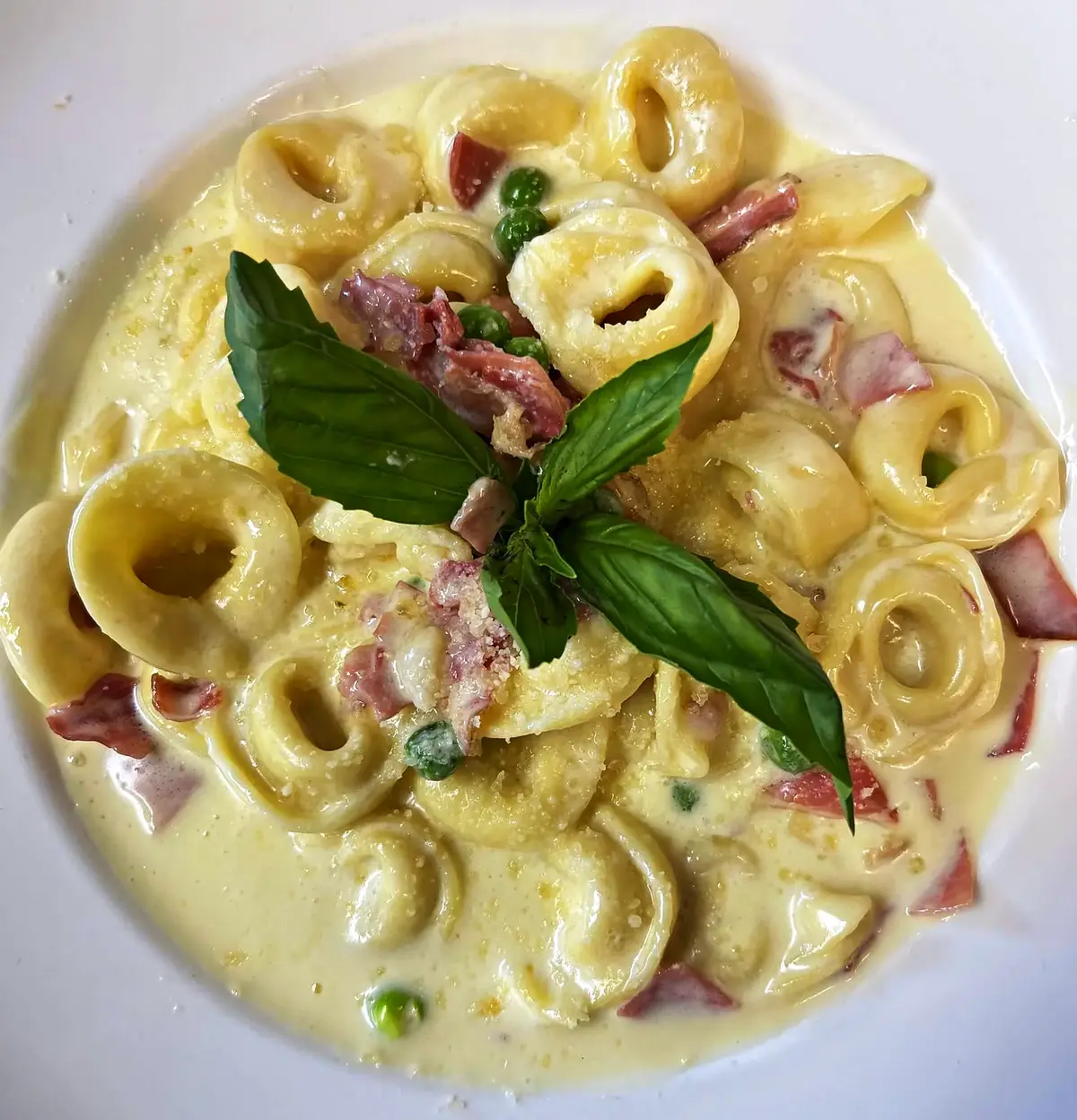 Tortellini alla panna
