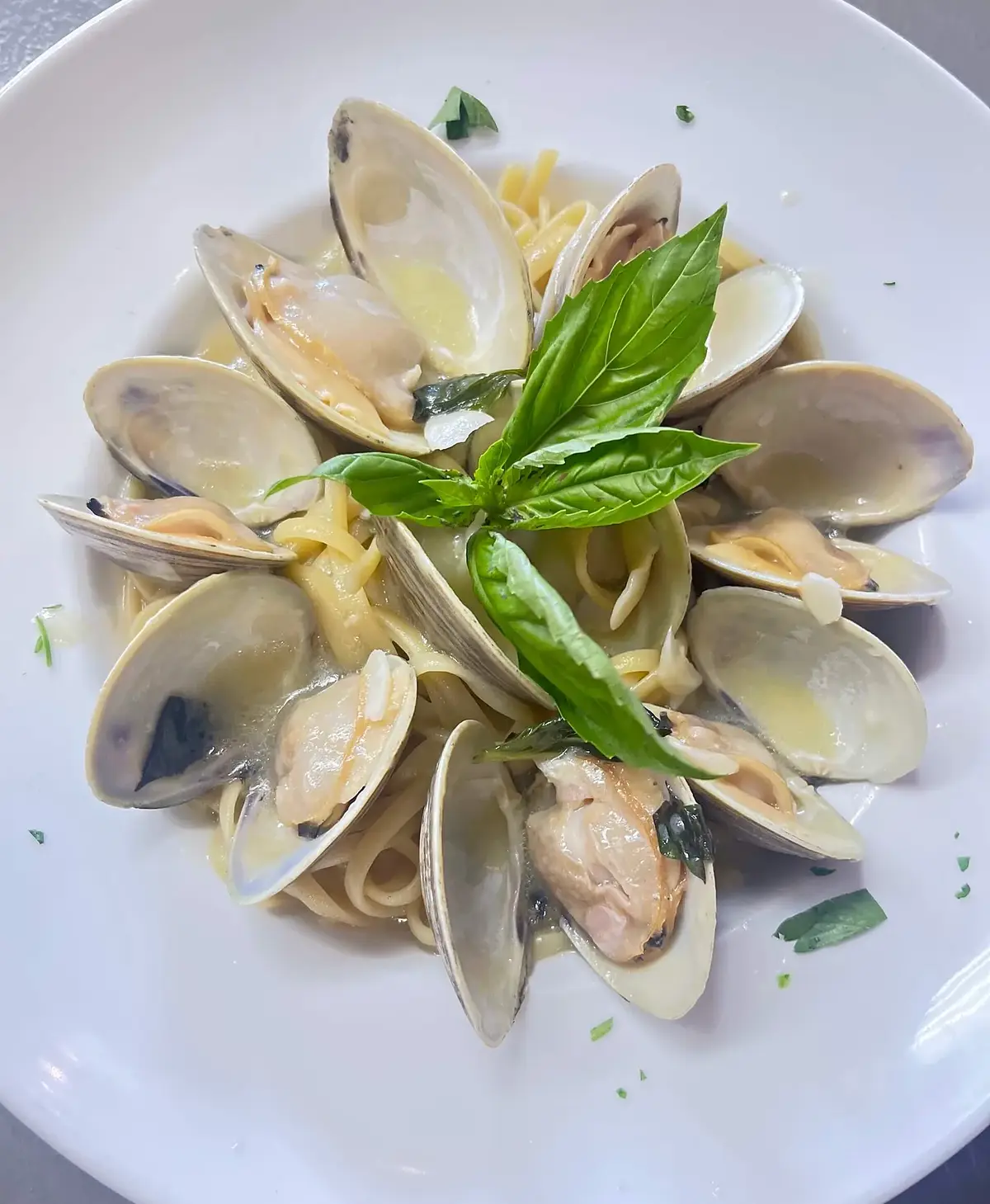 Clams in white wine with fresh basil