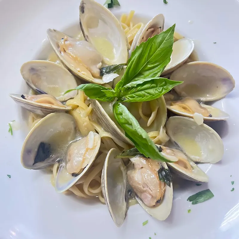 Clams in white wine with basil